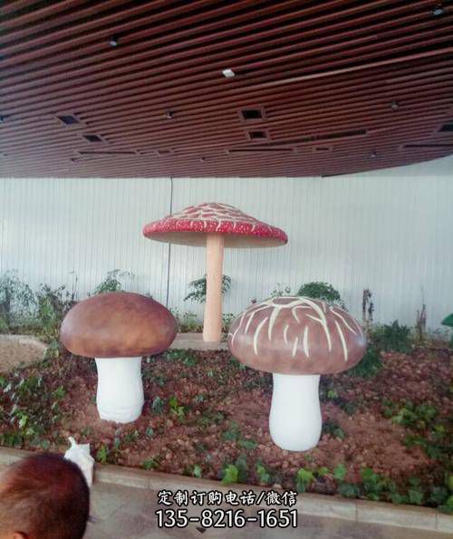 景區(qū)玻璃鋼仿真香菇雕塑擺件（3）