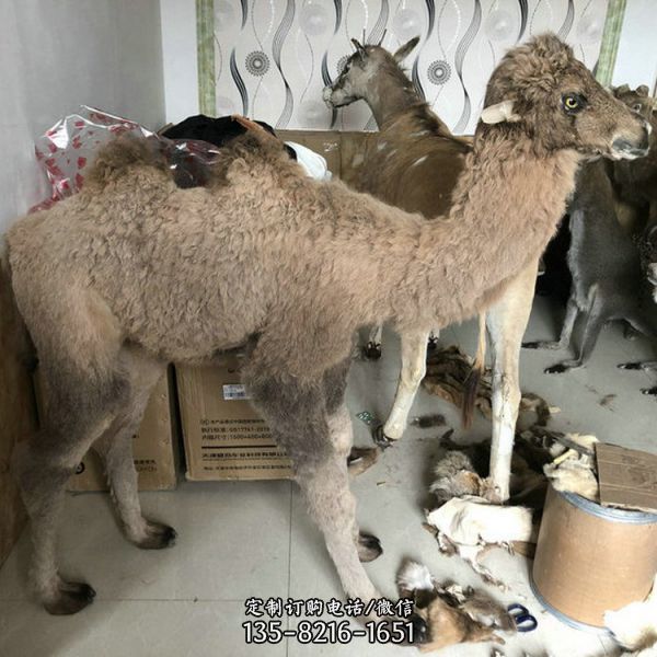 手工制作仿真動物 玻璃鋼雕塑 （7）
