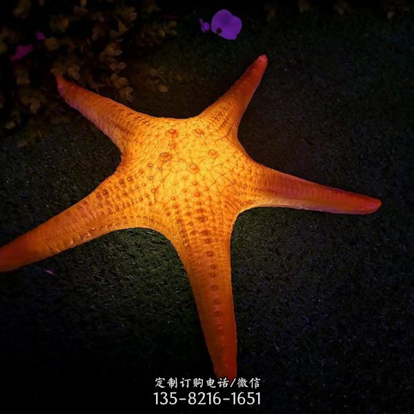戶外仿真海洋生物玻璃鋼彩繪海星夜晚照明擺件雕塑（1）