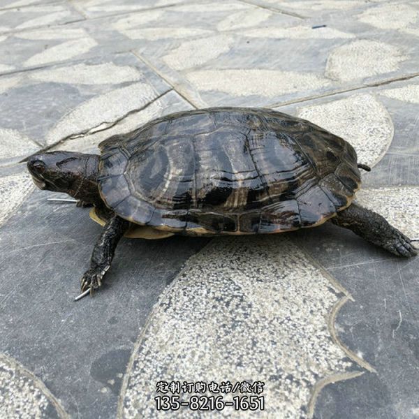 景區游樂場裝飾玻璃鋼仿真動物雕塑小品（4）