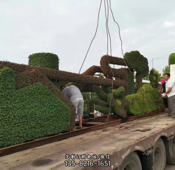 園林廣場擺放植物造型景觀綠雕 （2）