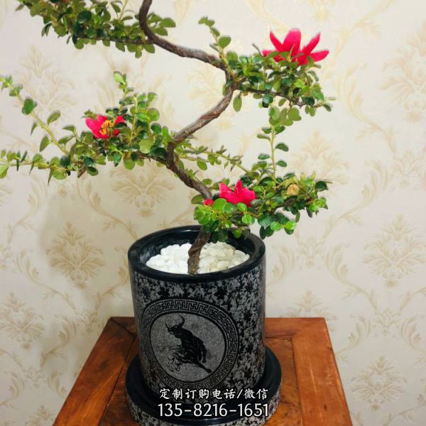 石雕庭院荷花缸影雕花盆盆栽水缸（3）