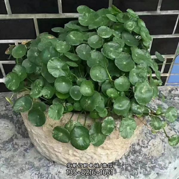 牛槽子花盆石雕水槽種花庭院流水?dāng)[件（5）