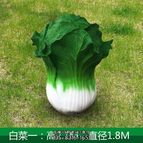 水果蔬菜基地?cái)[件（5）