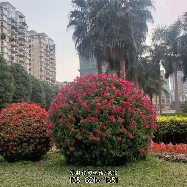 公園花架景觀植物鐵藝立體花球（4）