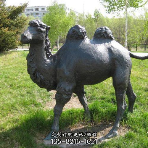 大型商業(yè)街擺放鑄銅駱駝動物雕塑（3）