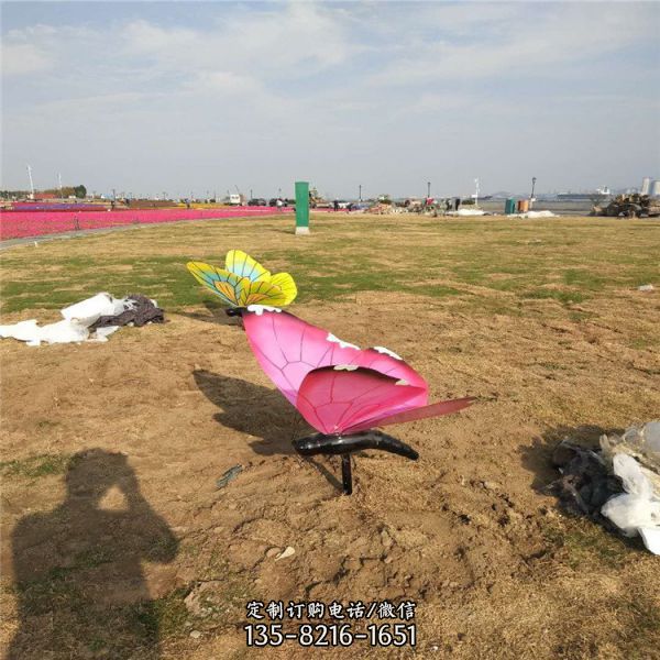 公園草坪擺放不銹鋼彩繪仿真蝴蝶雕塑（4）